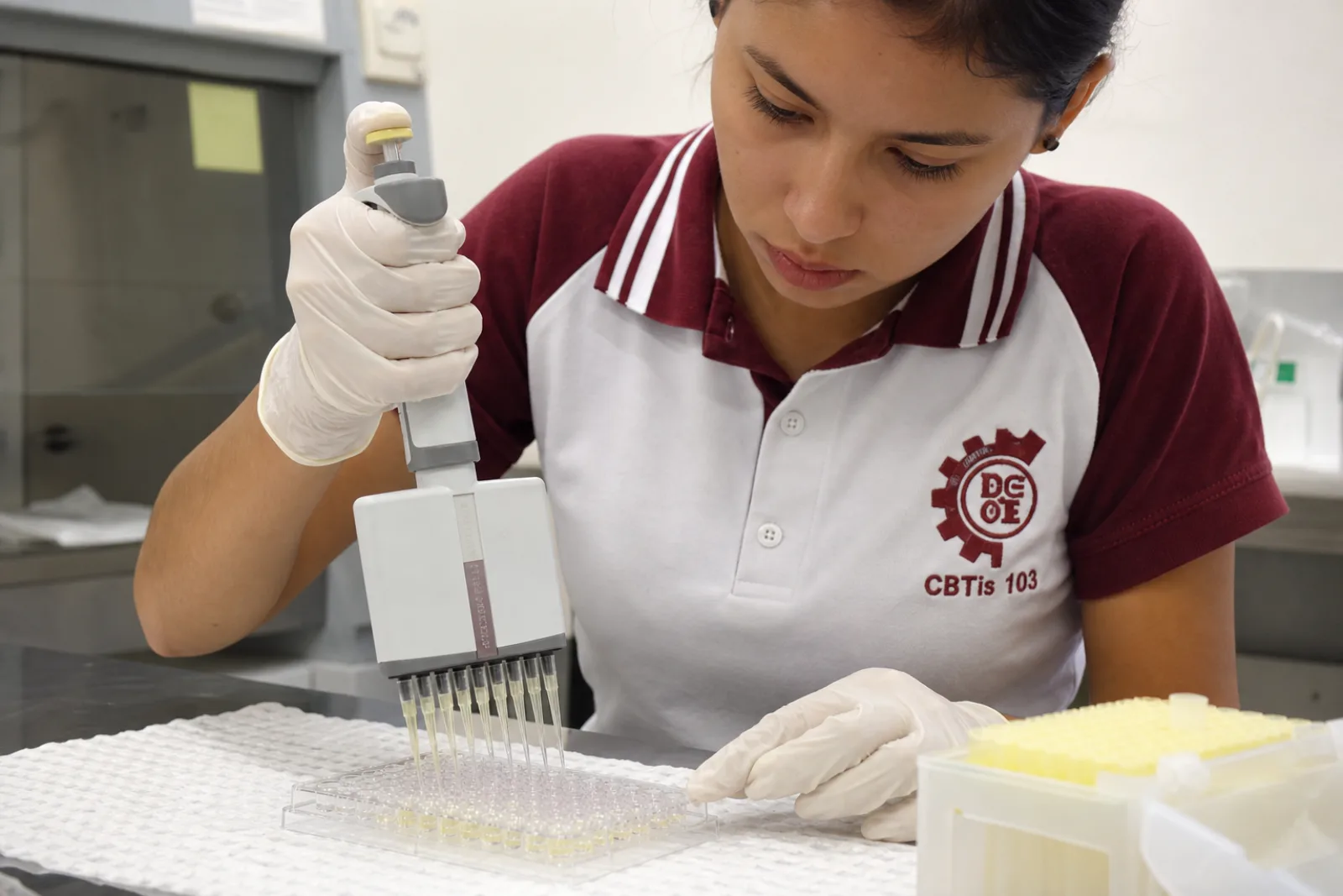 Realizas química clínica